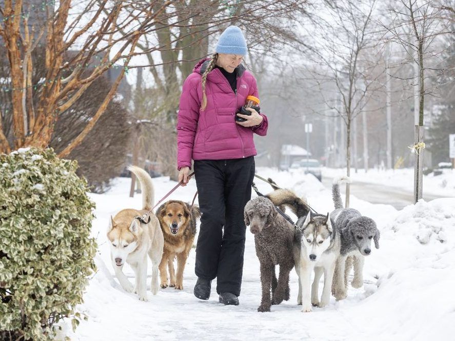 GALLERY: LFP’s top photos from February 2025