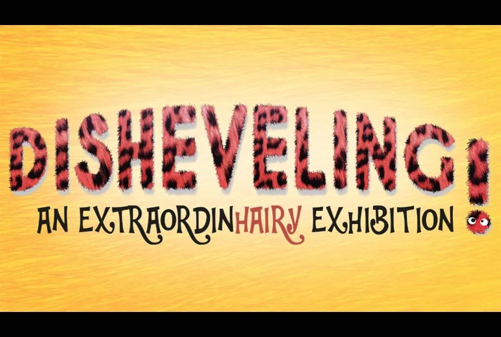 Upcoming museum exhibit bringing ‘hair-raising fun’ to Bruce County