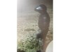 OPP release images of suspect in Huron-Kinloss break-in, theft