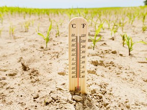 Dyer: Trade wars distract from climate change emergency