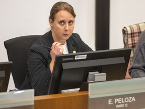 Hyde Park BIA scales back expansion after tepid business response