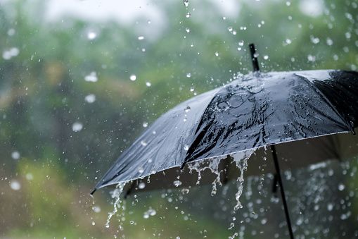 Two schools closed after heavy rains hammer London region