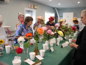 Garden party flower show enjoyed by horticulturalists in Ripley