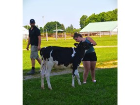 South Bruce 4-H Dairy Club takes part in showmanship clinic