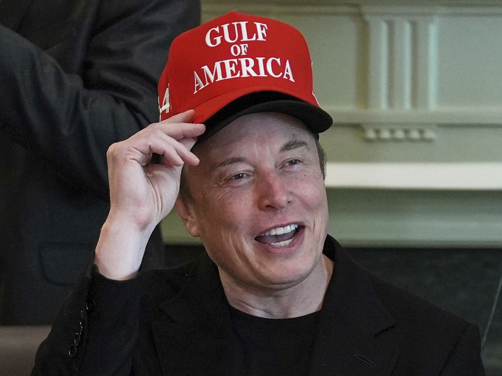 Dyer: Musk’s planned chaos could be helpful