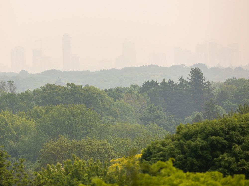 First the heat, now wildfire smoke: London under dual warnings