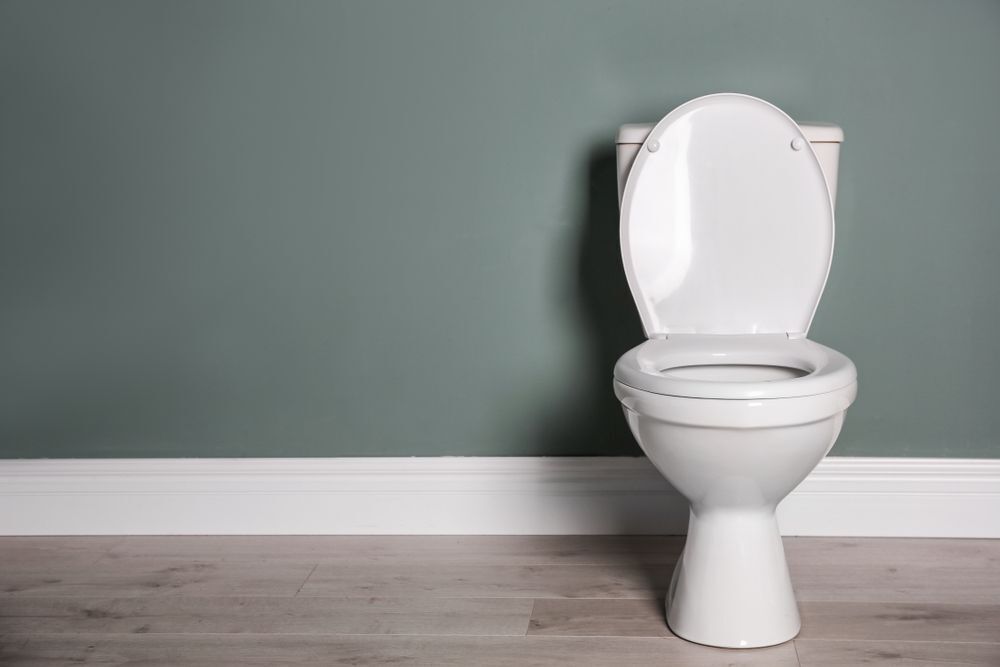 This Ontario Building Code change may mean composting toilets are no longer an option