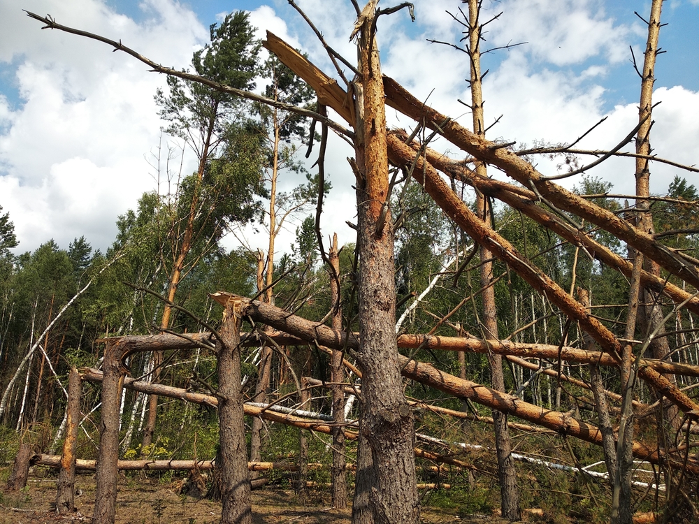 Multiple campers were trapped and injured during a recent storm in Northern Ontario