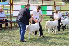 Fall fair season kicking off in Kincardine, Huron-Kinloss Fall fair season kicking off in Kincardine, Huron-Kinloss