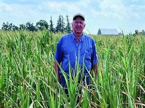 Central Ontario region suffers the driest year in 50 Central Ontario region suffers the driest year in 50