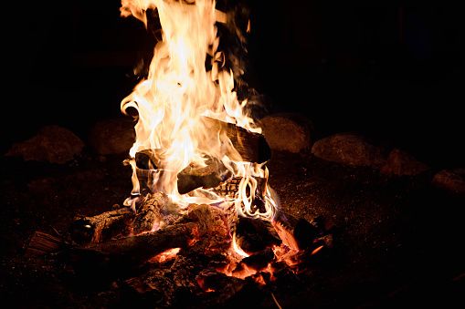 LFP Letters to the Editor: August 22, 2025