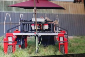 Laser weeding is taking place around the world