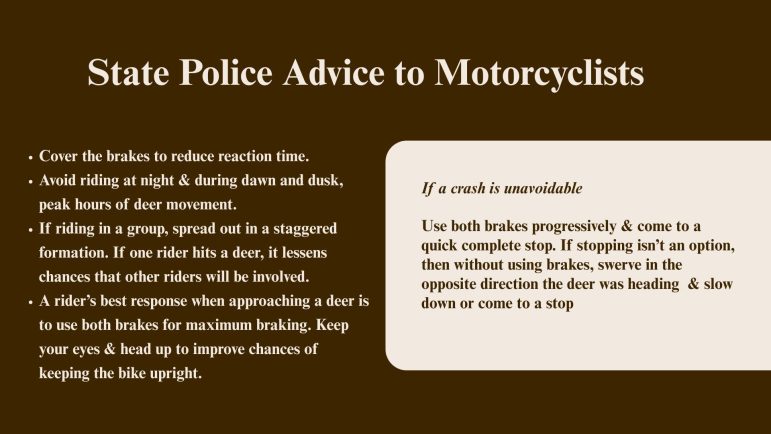 Study finds high risk of injury or death in motorcycle-deer collisions 