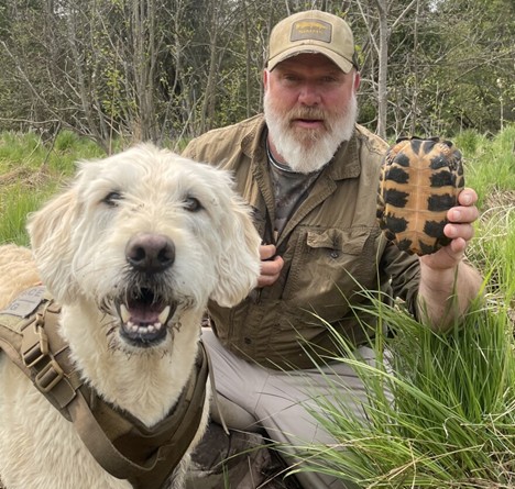 Mooz the dog helps scientists study threatened turtles  