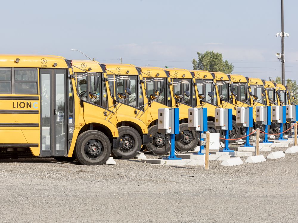 Electric school buses pulled off road, nearly 200 London area routes cancelled