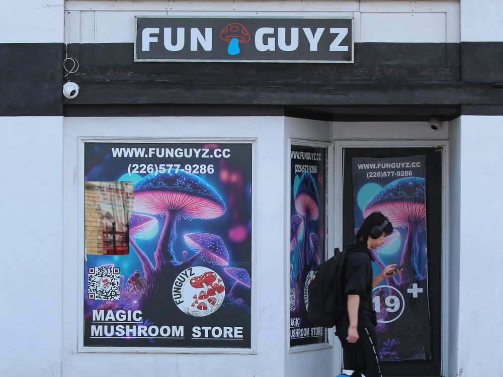 Judge to deliver ‘magic mushrooms’ ruling without accused in court