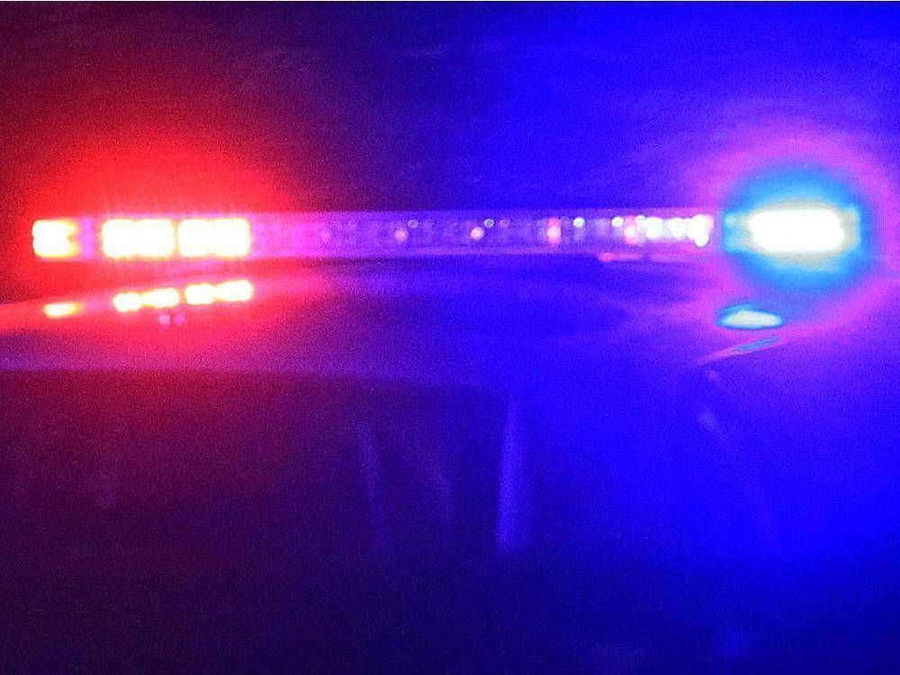 London man charged after making sexual comments to girls in park: Police