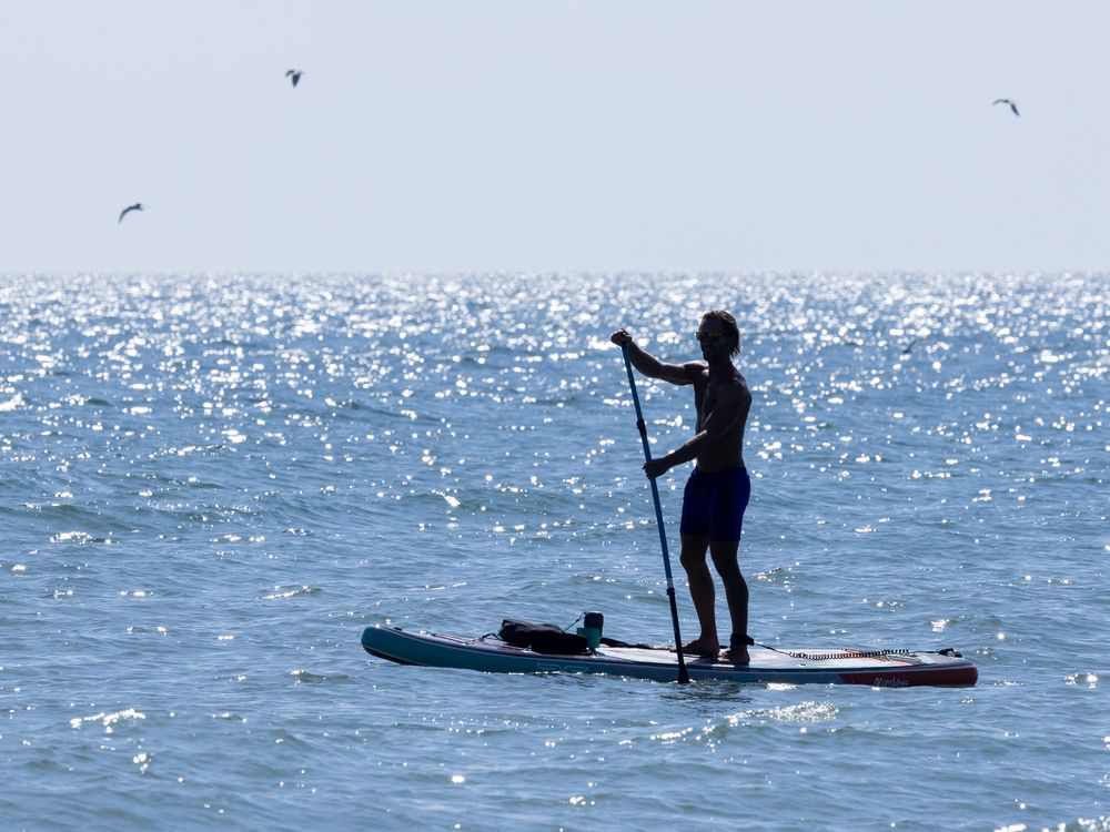 London set for late-season warm spell: What to expect