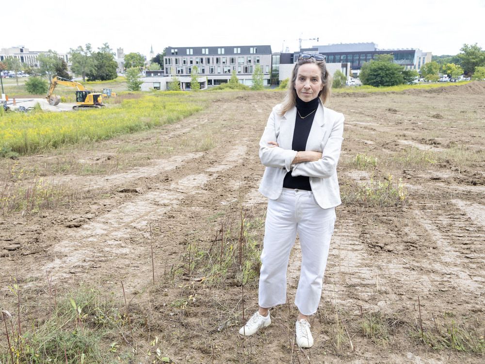 Several Ivey professors, joined by others in the community, oppose the expansion of a parking lot that will add 273 spaces, bringing to 479 the lot some fear will displace birds and other wildlife, ca