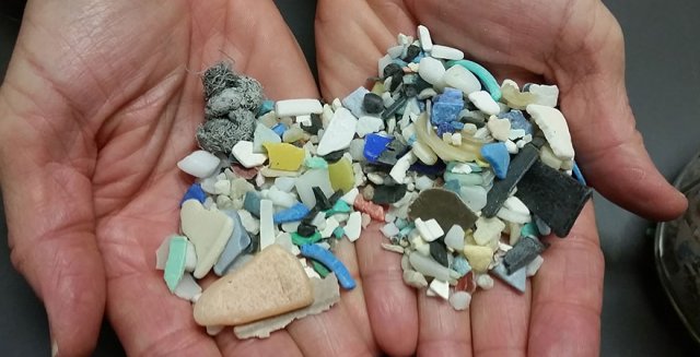 Michigan launches first annual Microplastics Awareness Week