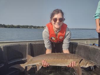 Western and Indigenous knowledge will help lake sturgeon, study shows 