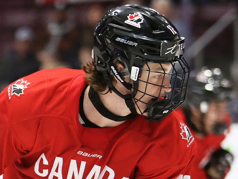 London Knights add ‘highly skilled’ forward in latest trade with Niagara