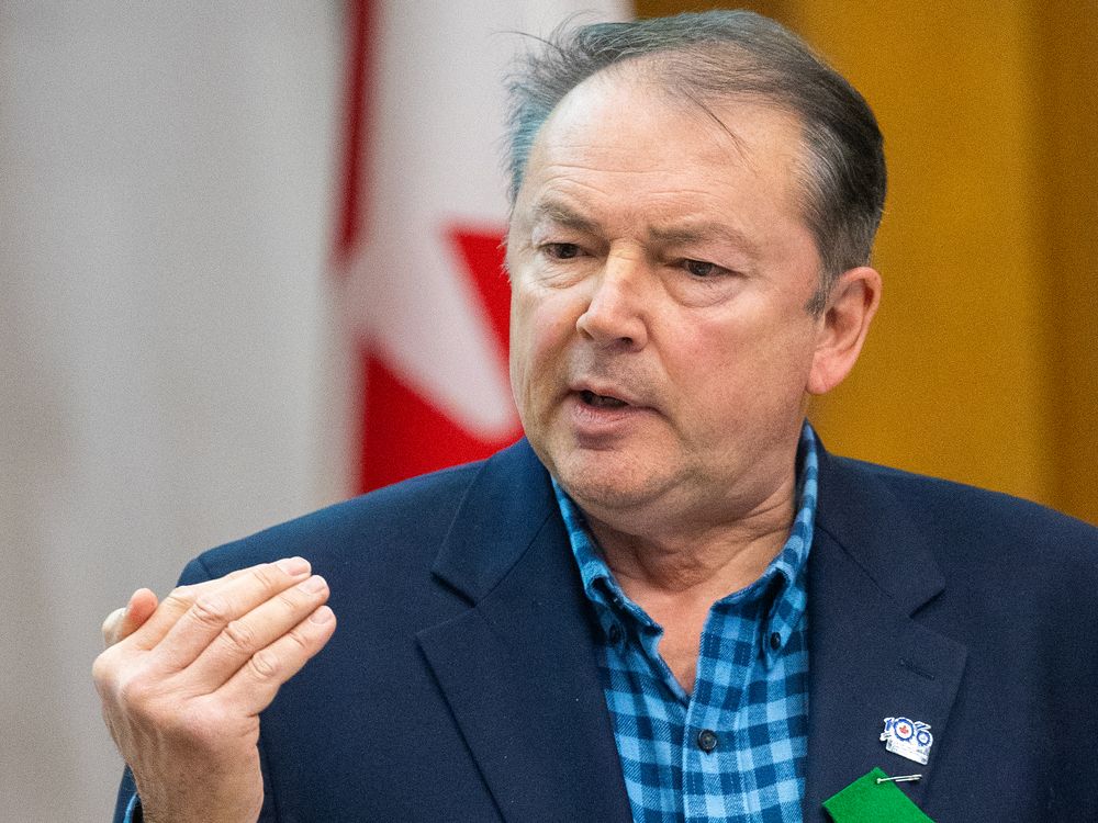 Pet waste, yes, but diapers ruled out for London’s green bin system tweak