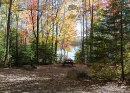 Bear-baiting bear hunting guide hit with hunting ban