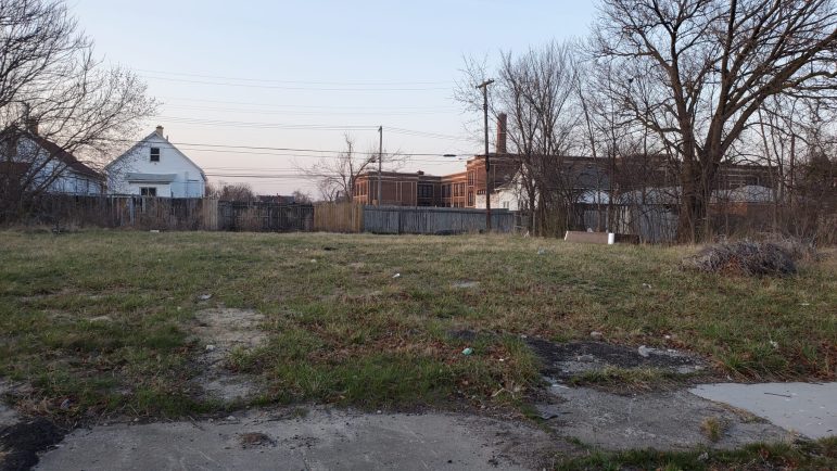 Vacant lots boost diversity among Detroit’s birds, study finds