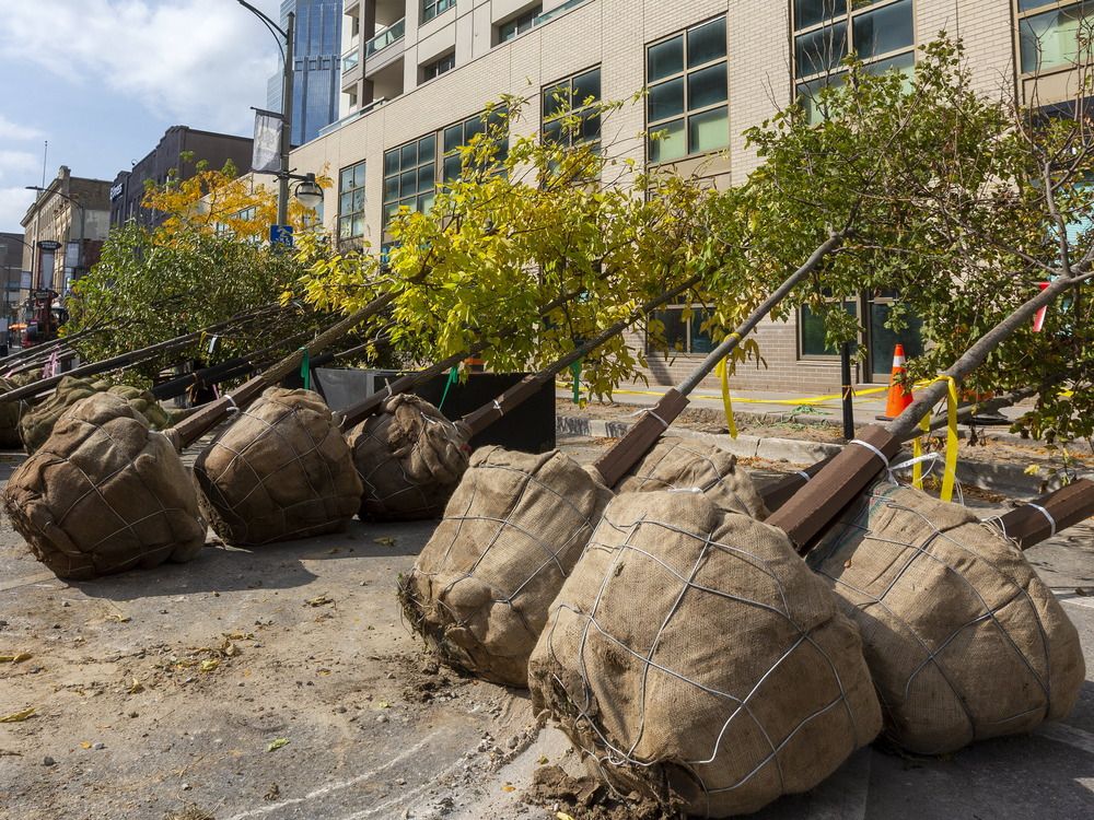 LFP Letters to the Editor: November 7, 2025