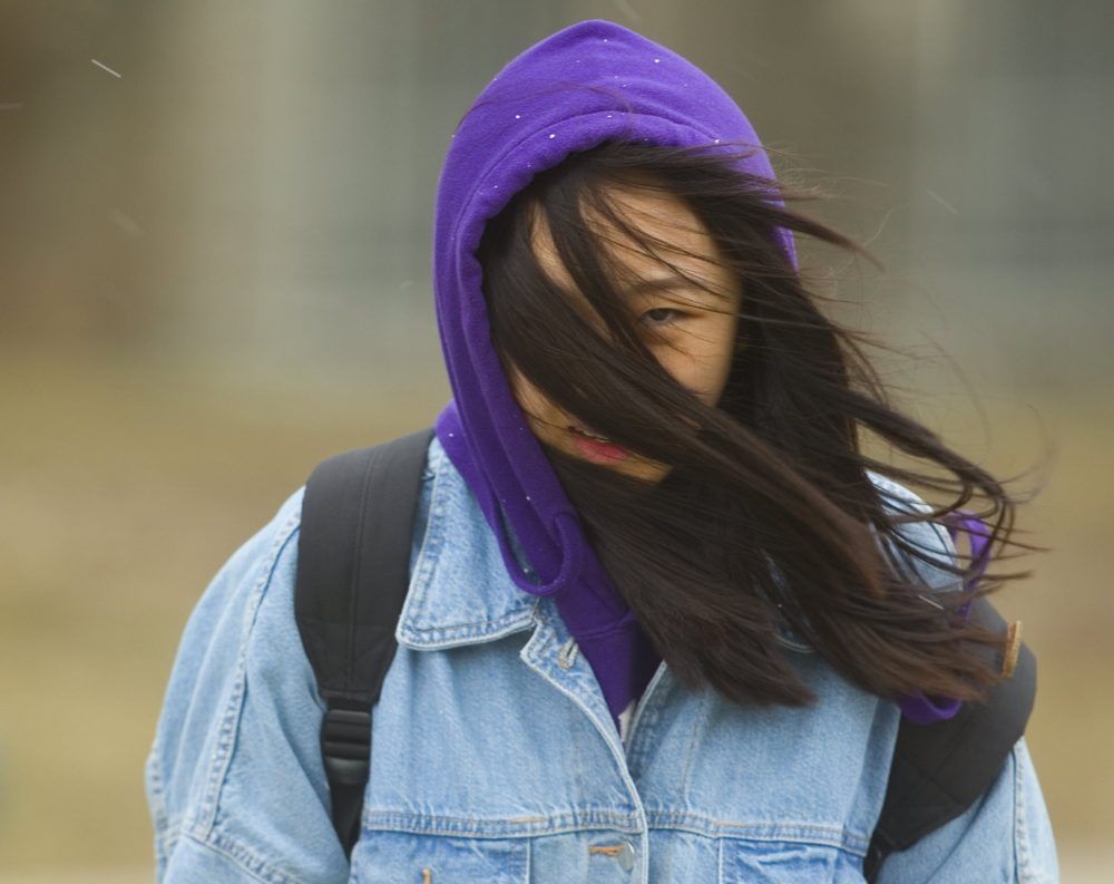 London should brace for high winds, Environment Canada warns