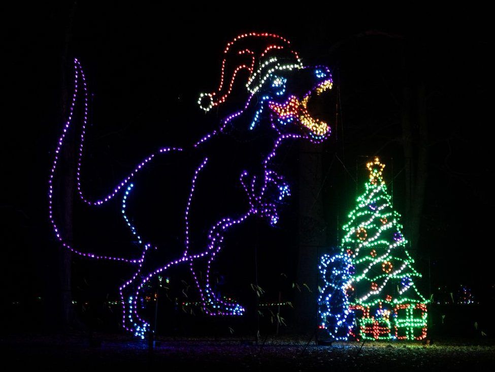 PHOTOS: Magic of Lights at Fanshawe Conservation Area