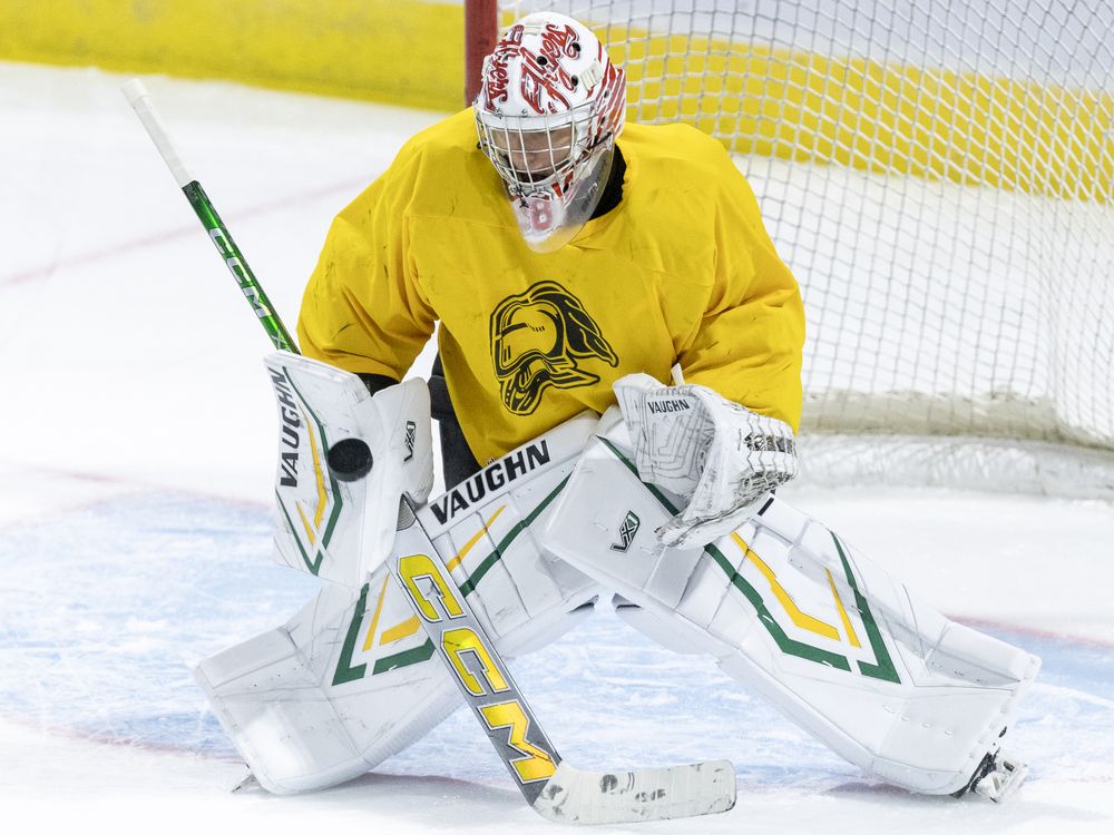 Rookie goalie Sebastian Gatto lifts London Knights to shootout win