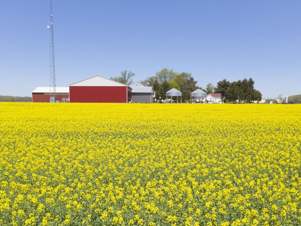 LFP Letters to the Editor: January 23, 2026