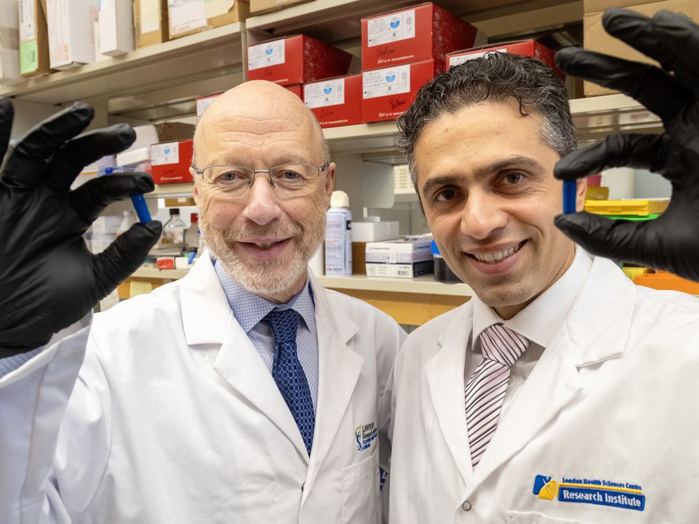 London studies show promise for fecal transplants in cancer immunotherapy