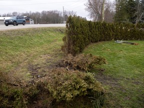 News of the day: Witness recounts fatal crash, Artemis II launch and more . . .