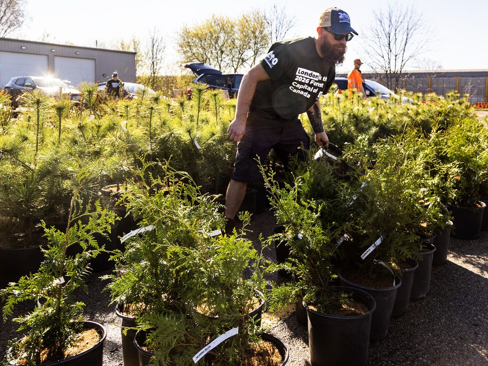PHOTOS: London marks Earth Day with tree giveaway