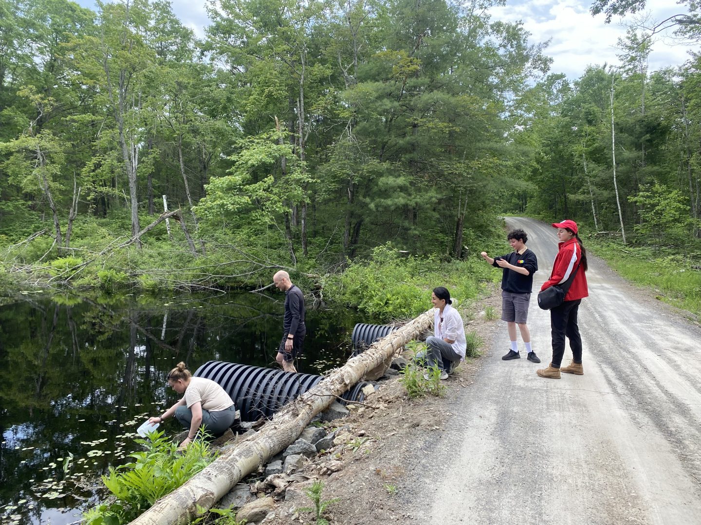 Here’s how these cottagers are fighting the pollution problem on their lake