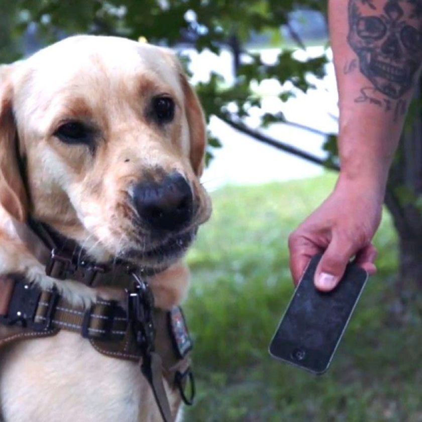London police enlist special sniffer dog to find hidden electronic devices