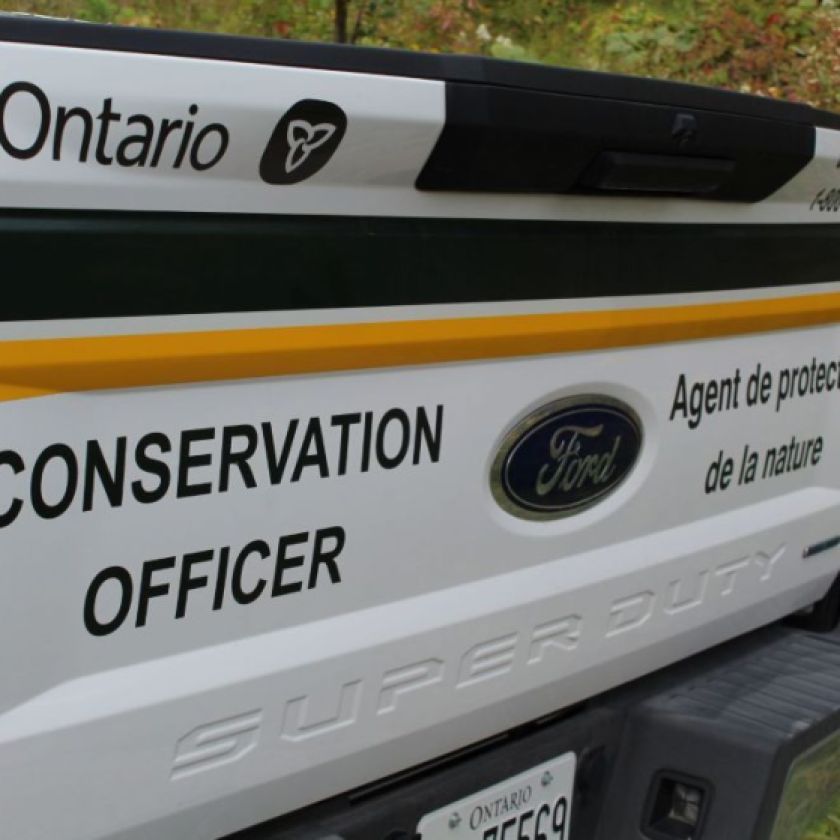Man fined $3K for illegal deer hunt, firearm offences: Provincial officials