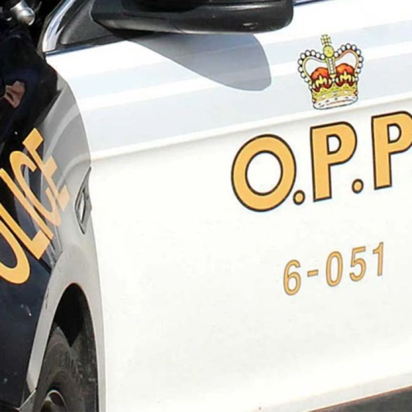 Police seek two suspects after theft from wedding