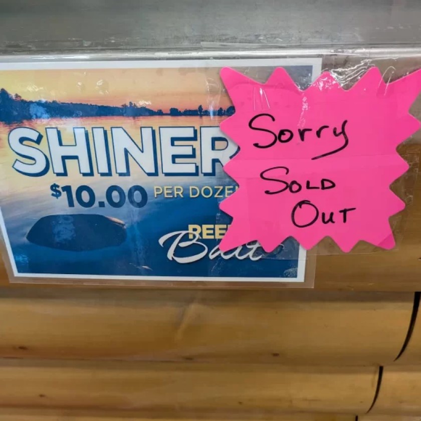Minnesota’s golden shiner shortage is pushing the bait industry toward fish farming