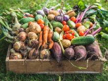 LFP Letters to the Editor: January 22, 2026