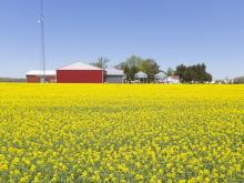 LFP Letters to the Editor: January 23, 2026