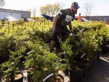 PHOTOS: London marks Earth Day with tree giveaway