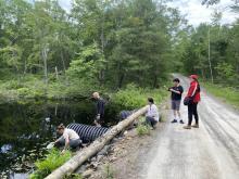 Here’s how these cottagers are fighting the pollution problem on their lake
