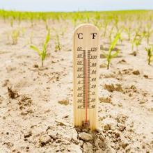 Dyer: Climate change reality still not spurring action