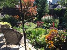 Growing Concerns: Heat has exhausted gardeners and their gardens