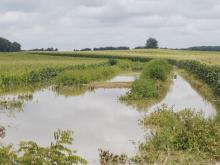 Heavy rainfall floods London streets, triggers emergency in Southwold Township