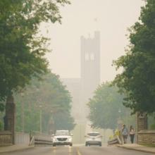 London councillors seek review of extreme heat, wildfire smoke response